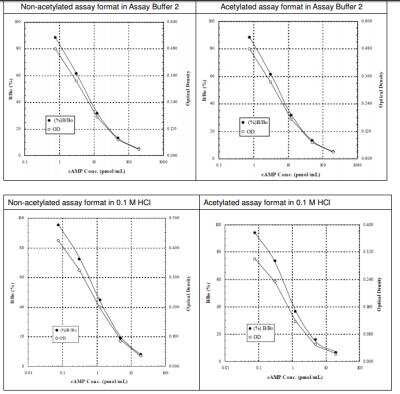 ELISA: Cyclic AMP ELISA Kit (Colorimetric) [KA0320]